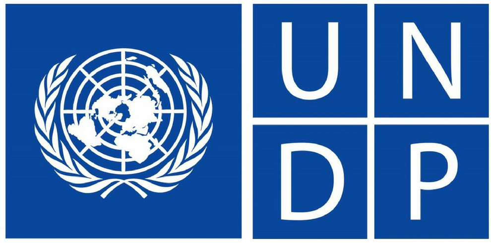 UNDP partner logo